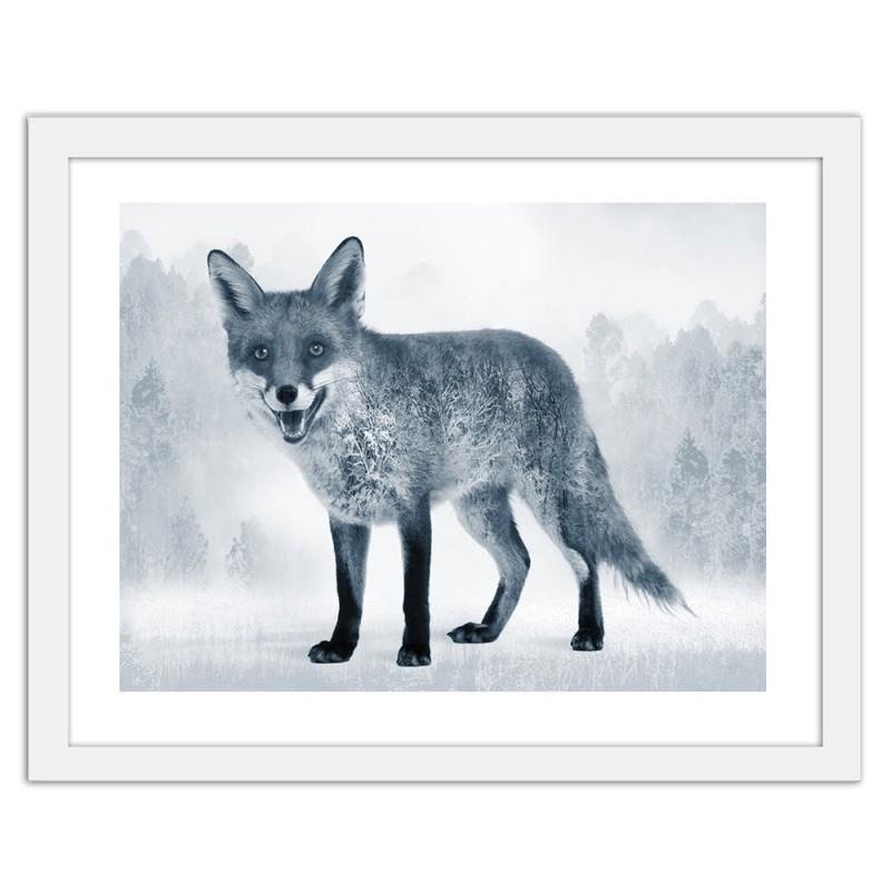 Glezna baltā rāmī - The grey fox 