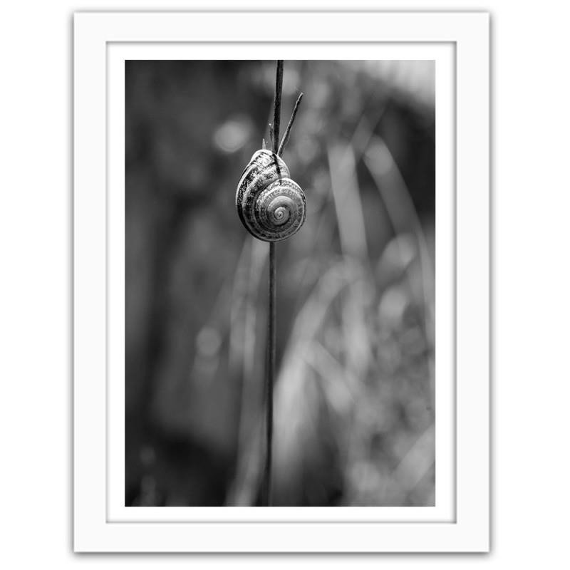 Glezna baltā rāmī - Snail on a branch 