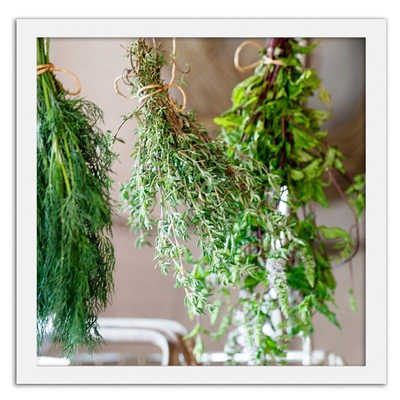 Glezna baltā rāmī - Fresh herbs 2 