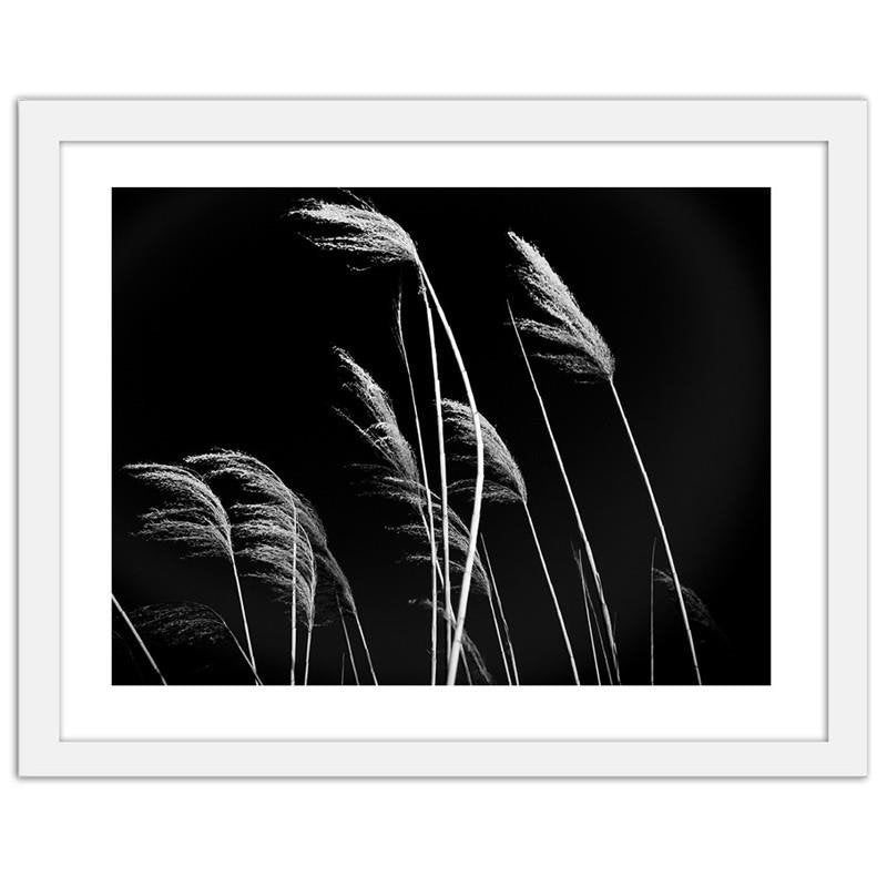 Glezna baltā rāmī - Grass in black and white 