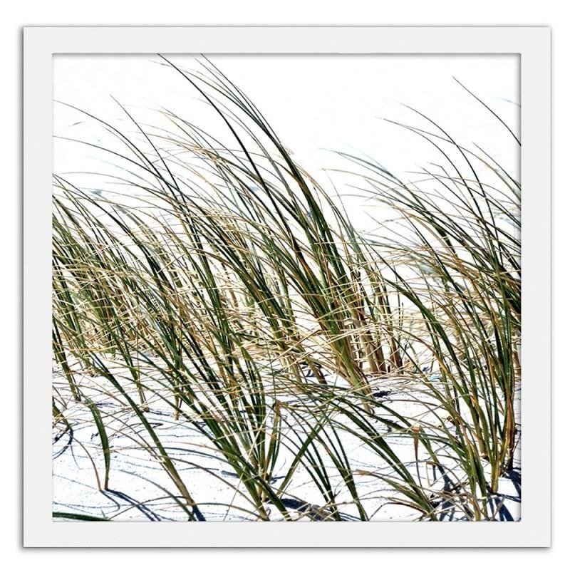 Glezna baltā rāmī - Grass on the beach 