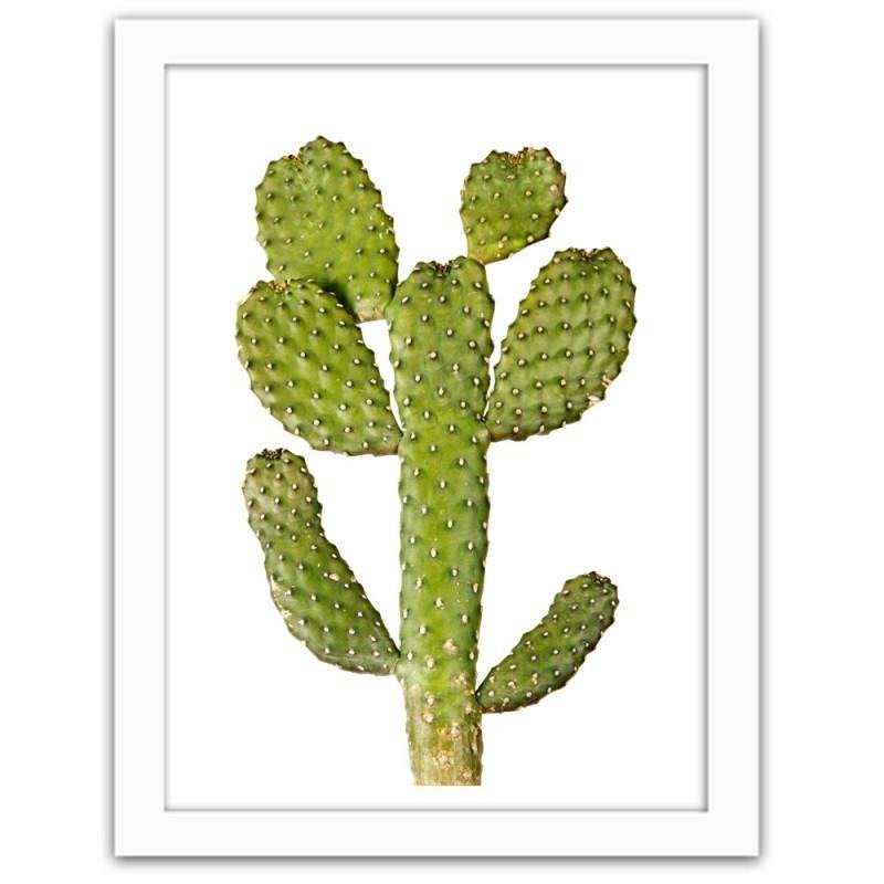 Glezna baltā rāmī - Green cactus 