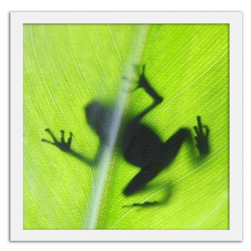 Glezna baltā rāmī - The frog on the green leaf 