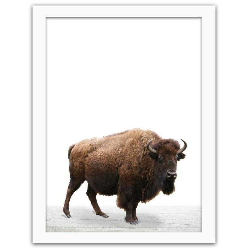 Glezna baltā rāmī - European bison 