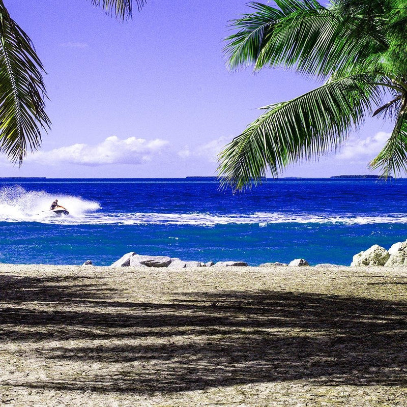 Dekoratīvais panelis - Beach And Palm Trees 