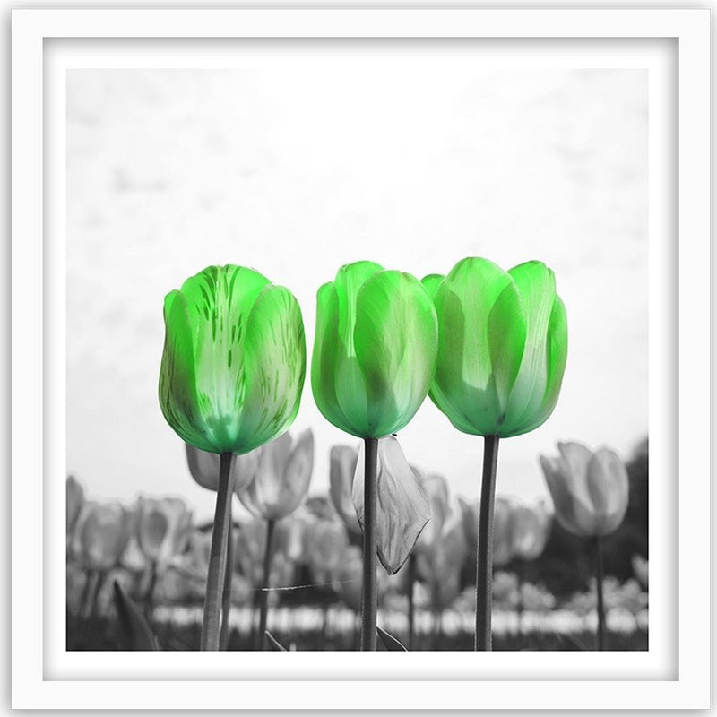 Glezna baltā rāmī - Poppies On Green Meadow 