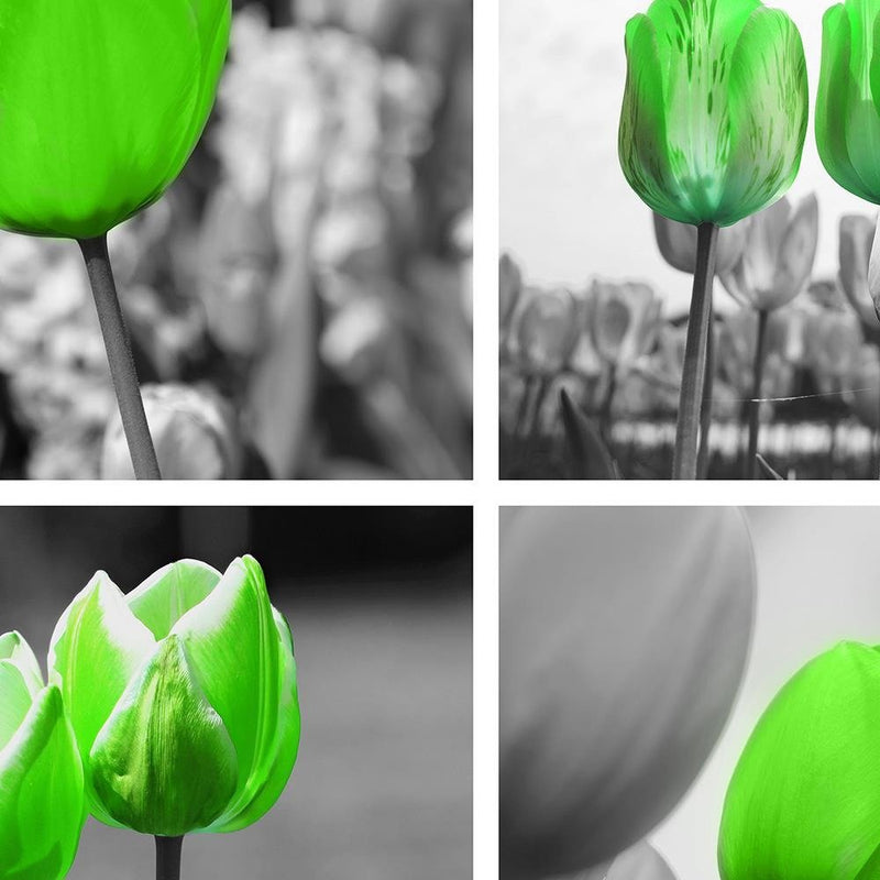 Glezna baltā rāmī - Set Of Green Poppies 