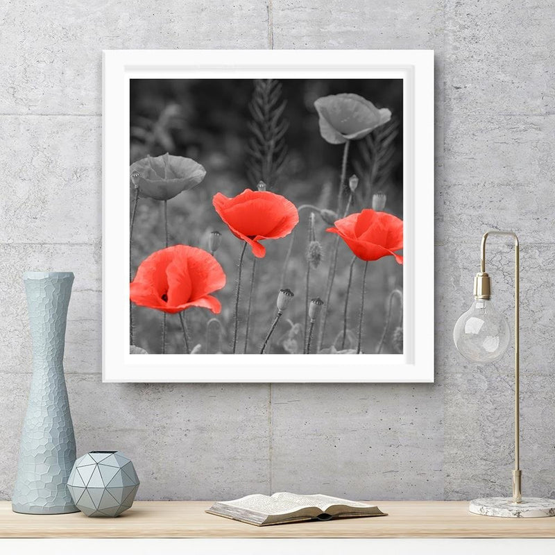 Glezna baltā rāmī - Poppies In The Meadow 