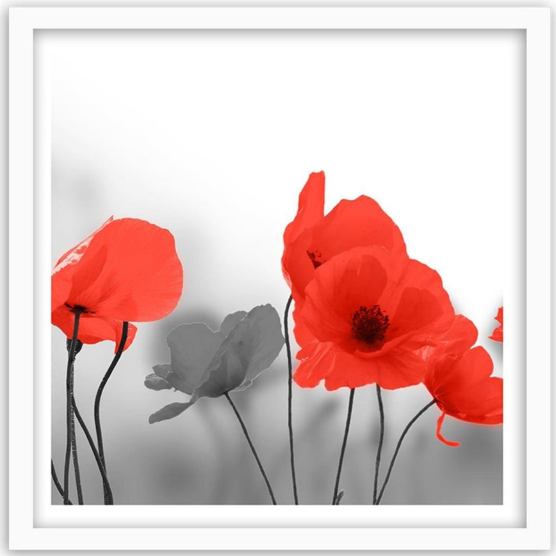 Glezna baltā rāmī - Red Poppies In Gray 