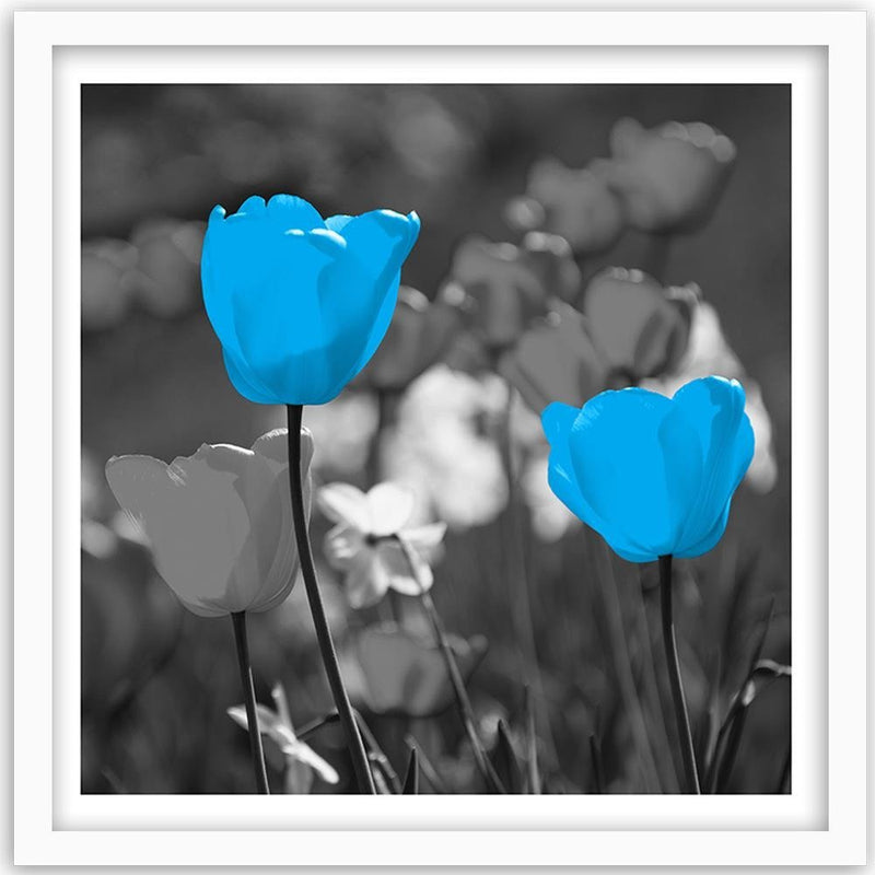 Glezna baltā rāmī - Blue Tulips On A Meadow 