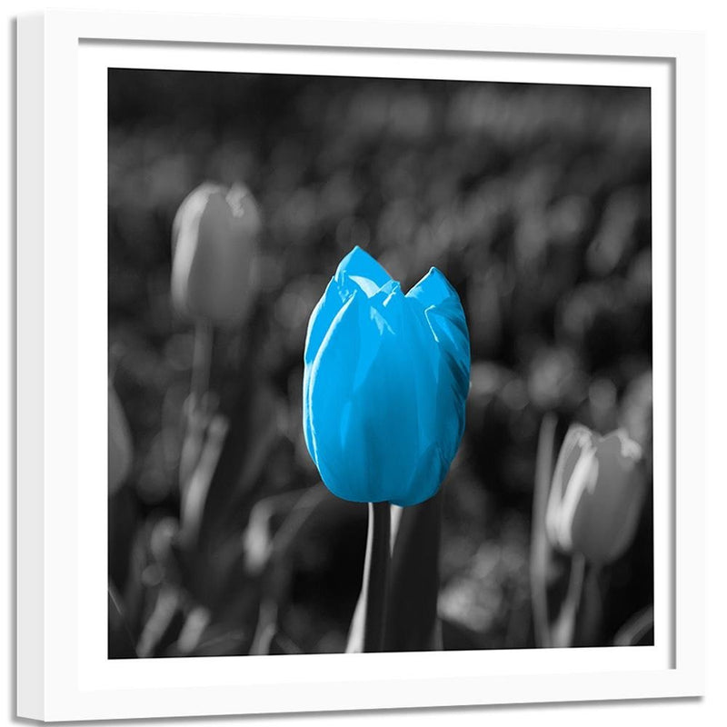 Glezna baltā rāmī - Blue Tulip In Gray 