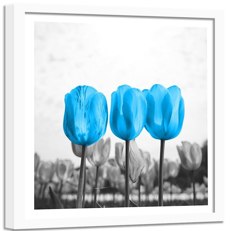 Glezna baltā rāmī - Blue Tulips 