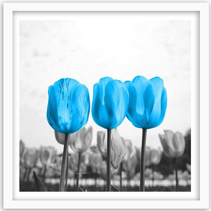 Glezna baltā rāmī - Blue Tulips 