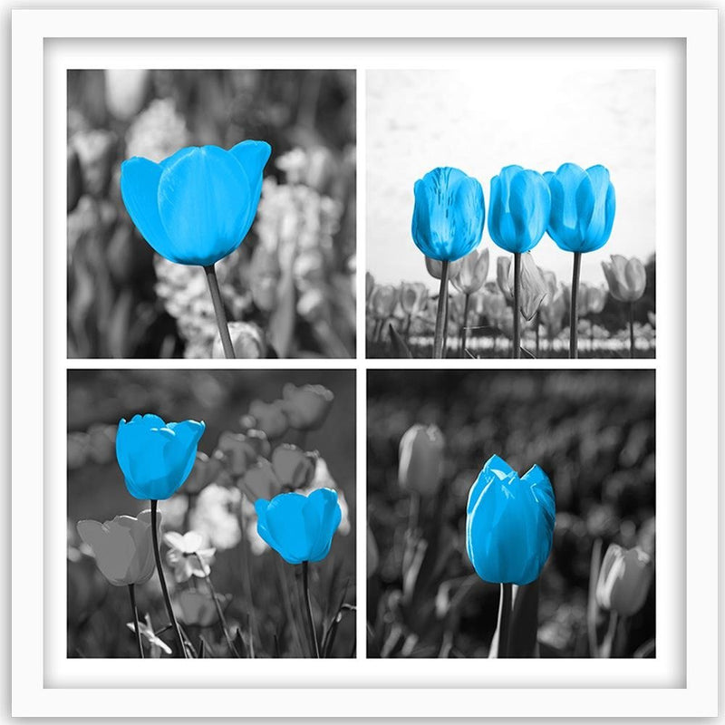 Glezna baltā rāmī - Set Of Blue Tulips 