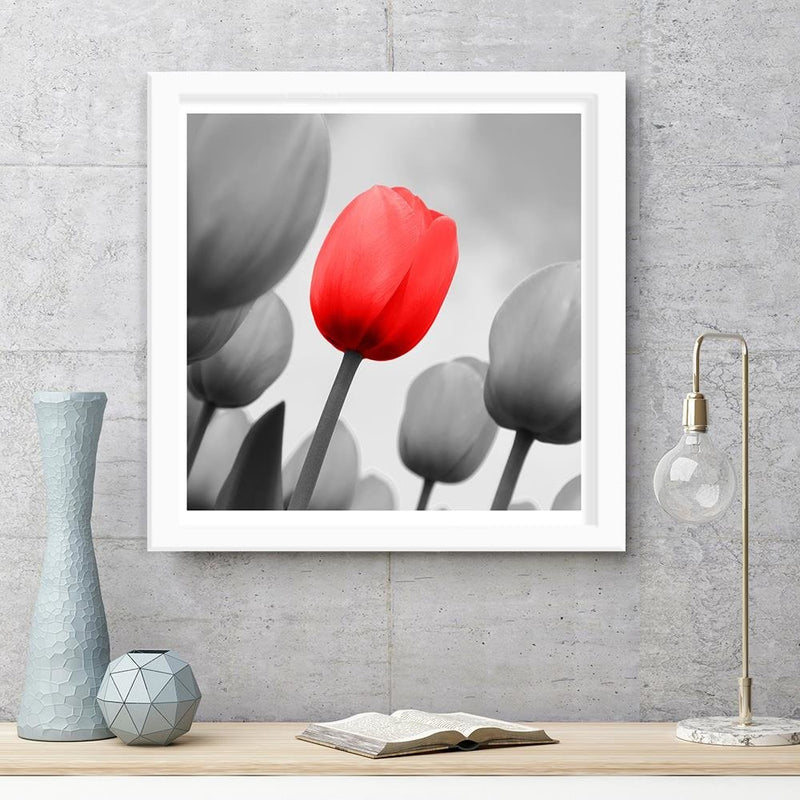 Glezna baltā rāmī - Red Tulip In Gray 