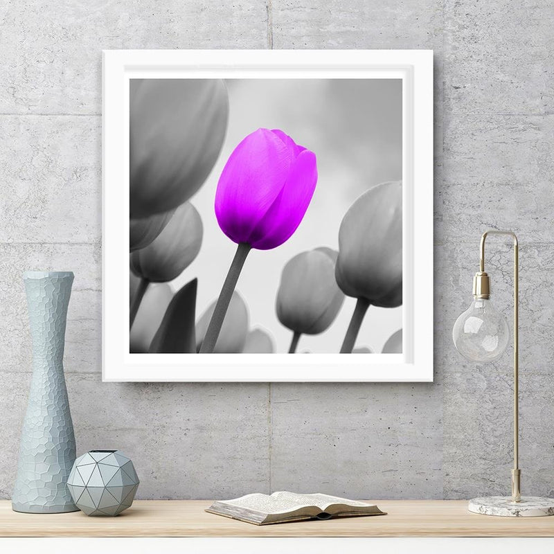 Glezna baltā rāmī - Purple Tulip In Gray 