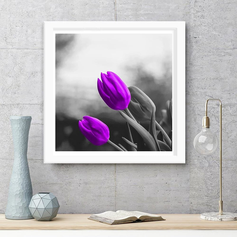 Glezna baltā rāmī - Two Purple Tulips 