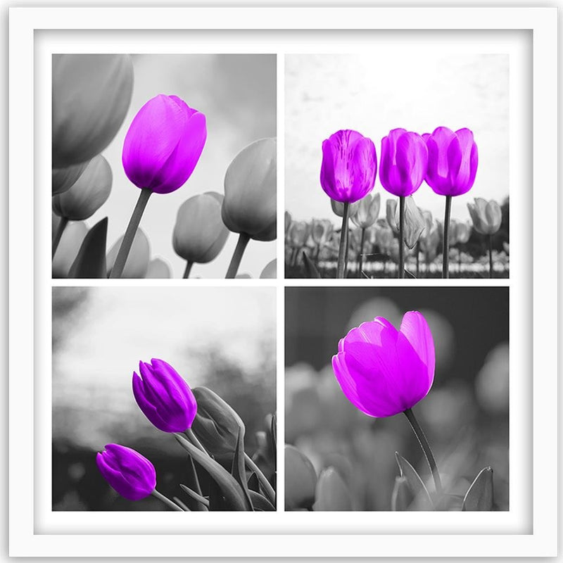 Glezna baltā rāmī - A Set Of Purple Tulips 