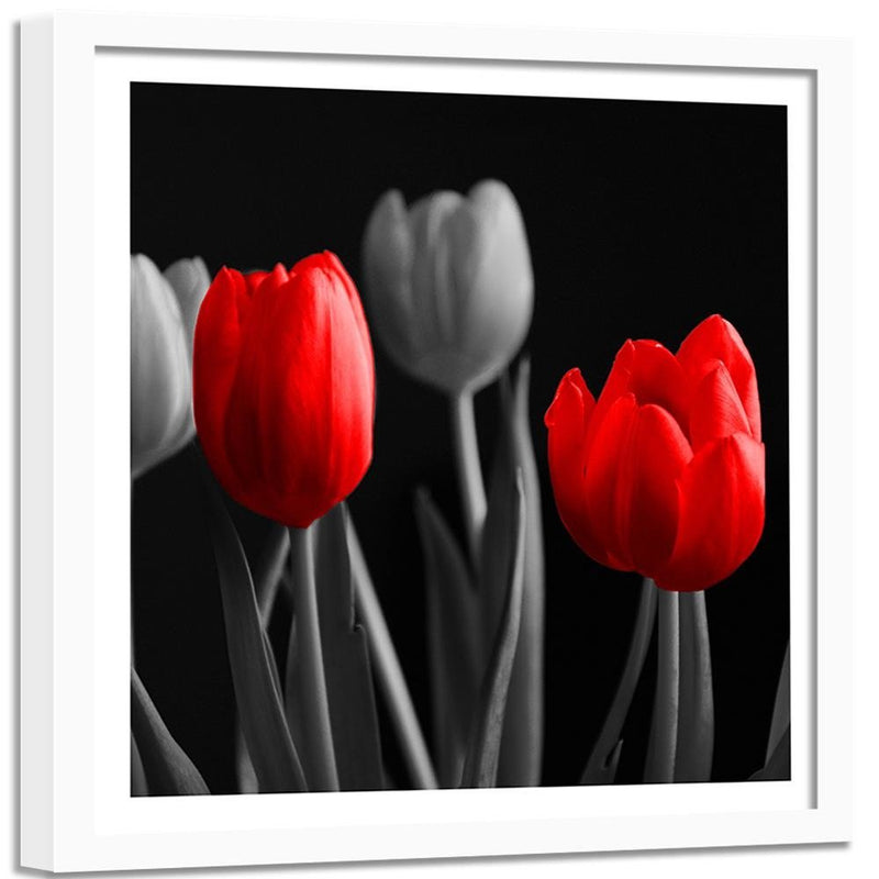 Glezna baltā rāmī - Red Tulips 