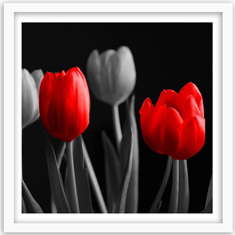 Glezna baltā rāmī - Red Tulips 