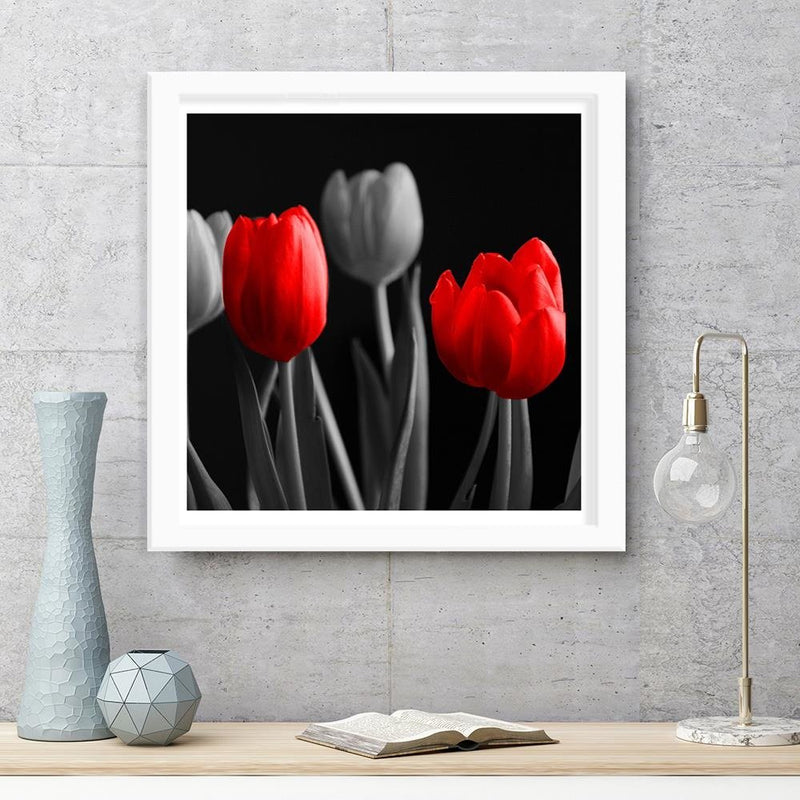 Glezna baltā rāmī - Red Tulips 