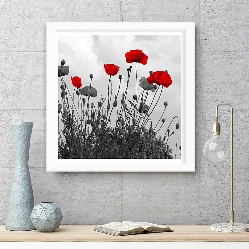 Glezna baltā rāmī - Red Poppy Flowers 