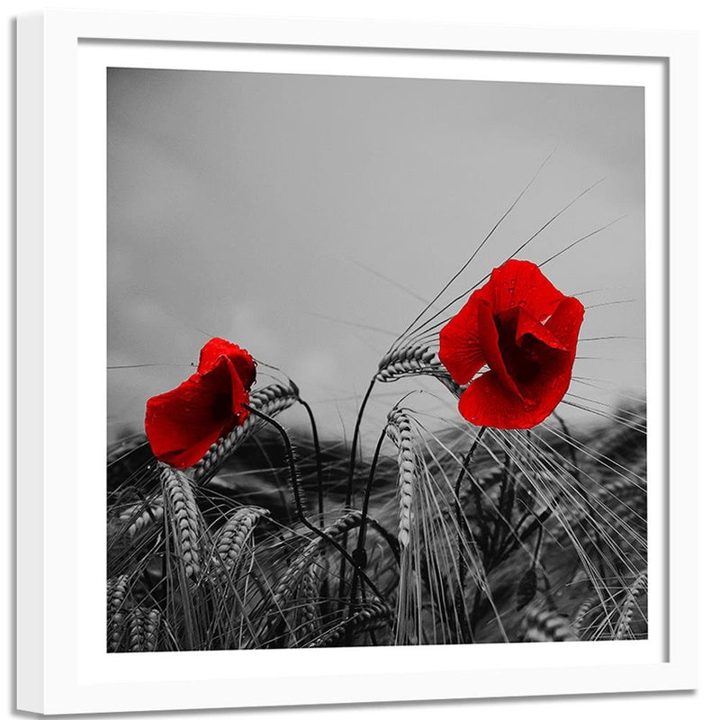 Glezna baltā rāmī - Red Poppies And Corn 