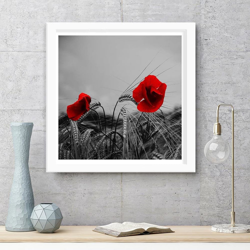 Glezna baltā rāmī - Red Poppies And Corn 