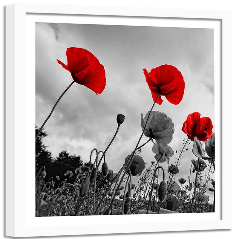 Glezna baltā rāmī - Red Poppies On The Meadow 