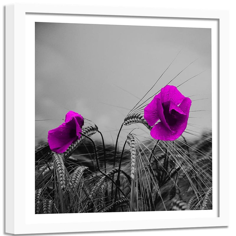 Glezna baltā rāmī - Purple Poppies And Corn 