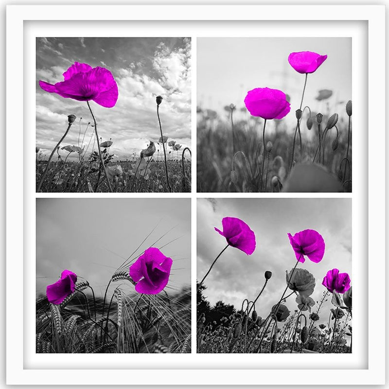 Glezna baltā rāmī - Purple Poppies 