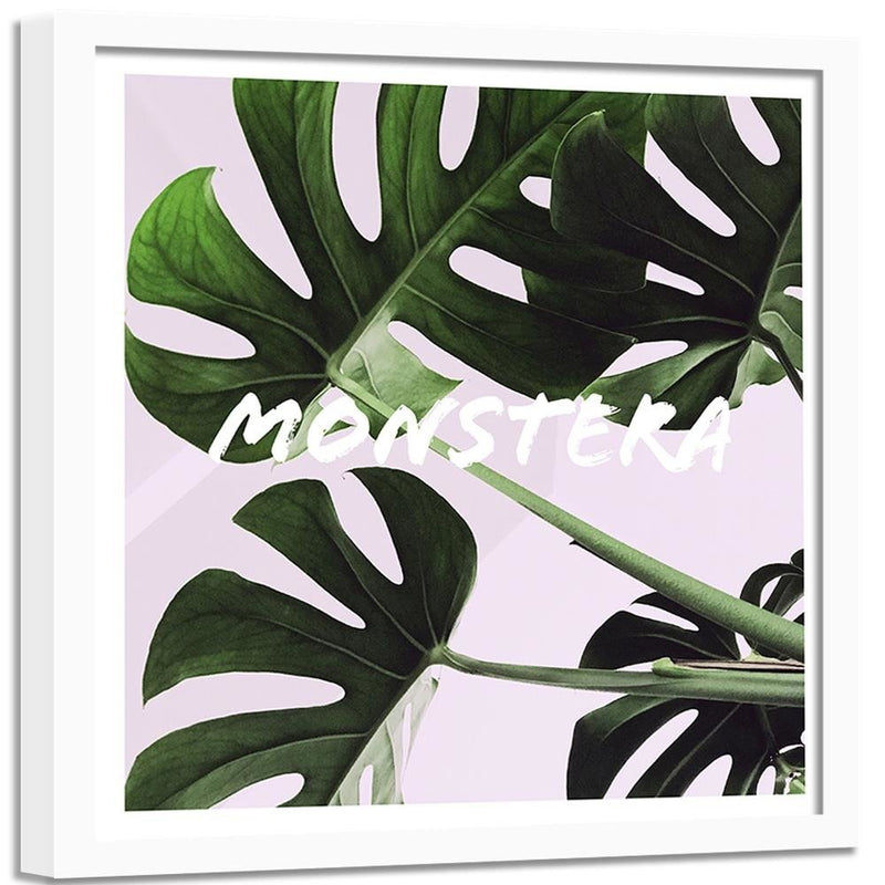 Glezna baltā rāmī - Exotic Leaves Monstera 