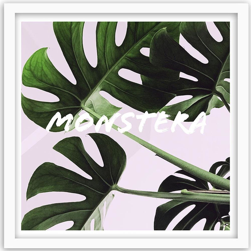 Glezna baltā rāmī - Exotic Leaves Monstera 