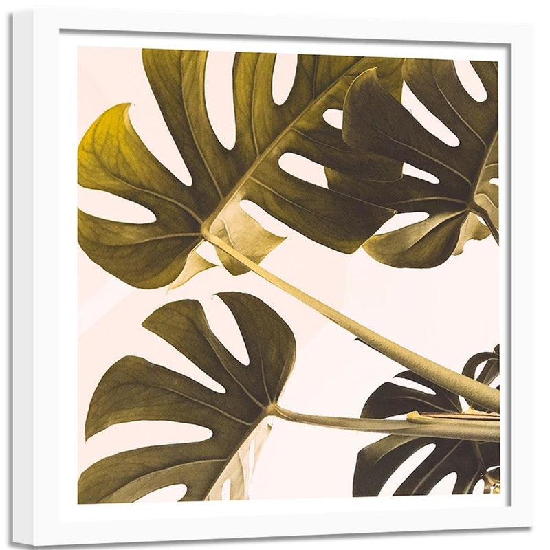 Glezna baltā rāmī - Exotic Leaves Monstera 2 