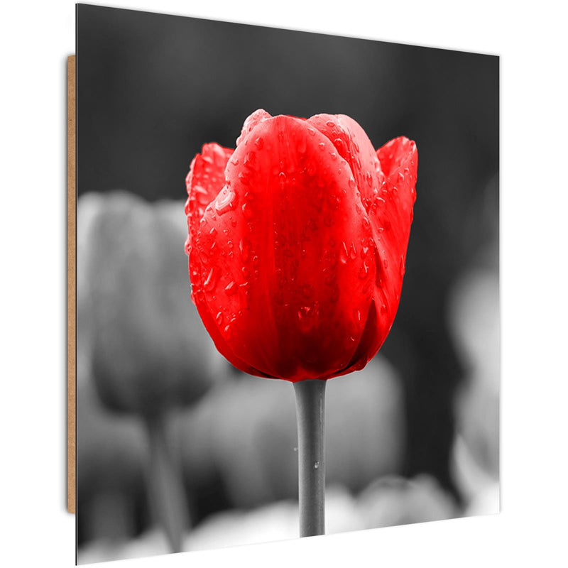 Dekoratīvais panelis - Tulip In Red 