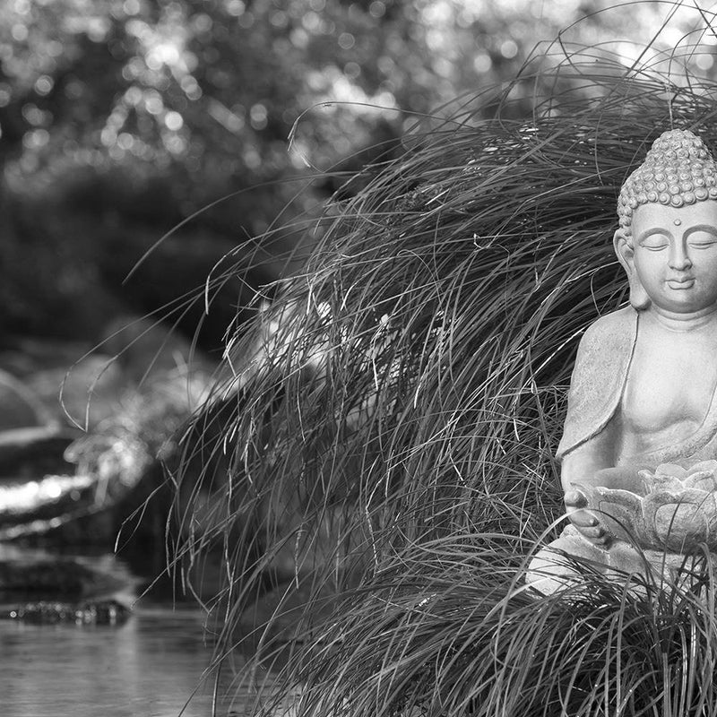 Glezna baltā rāmī - Buddha Over The Stream 