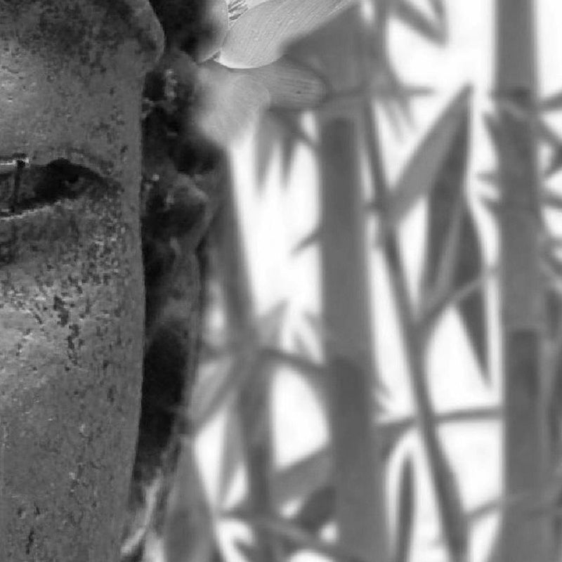 Glezna baltā rāmī - Half Face Of Buddha 