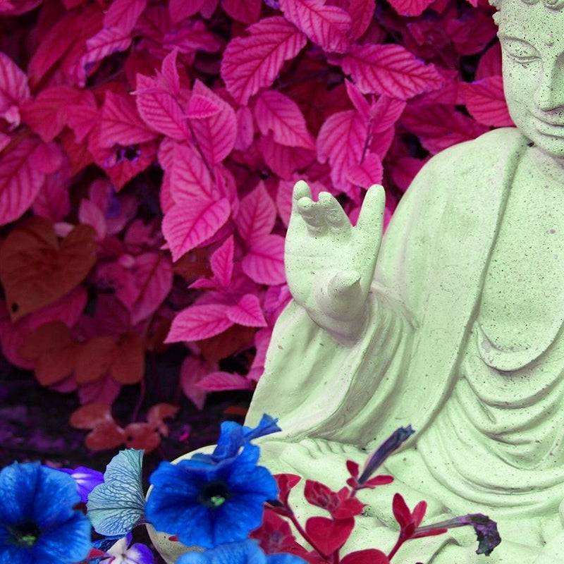 Glezna baltā rāmī - Buddha In The Garden 