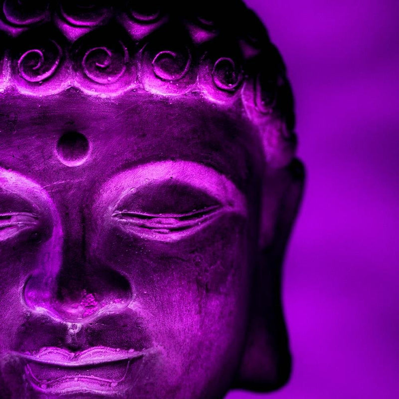 Glezna baltā rāmī - Illuminated Buddha Head 