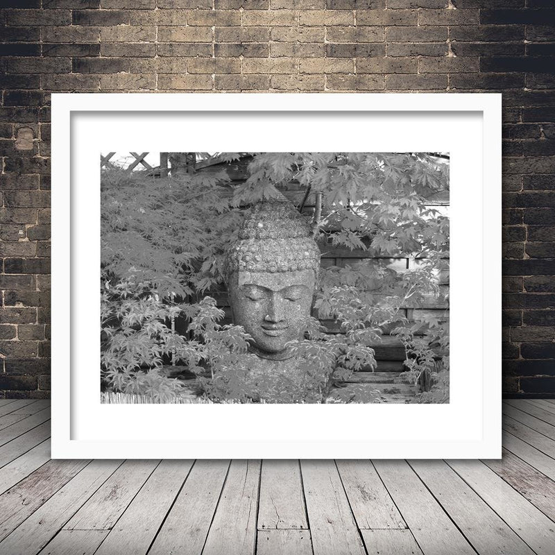 Glezna baltā rāmī - Head Of Buddha Among The Leaves 