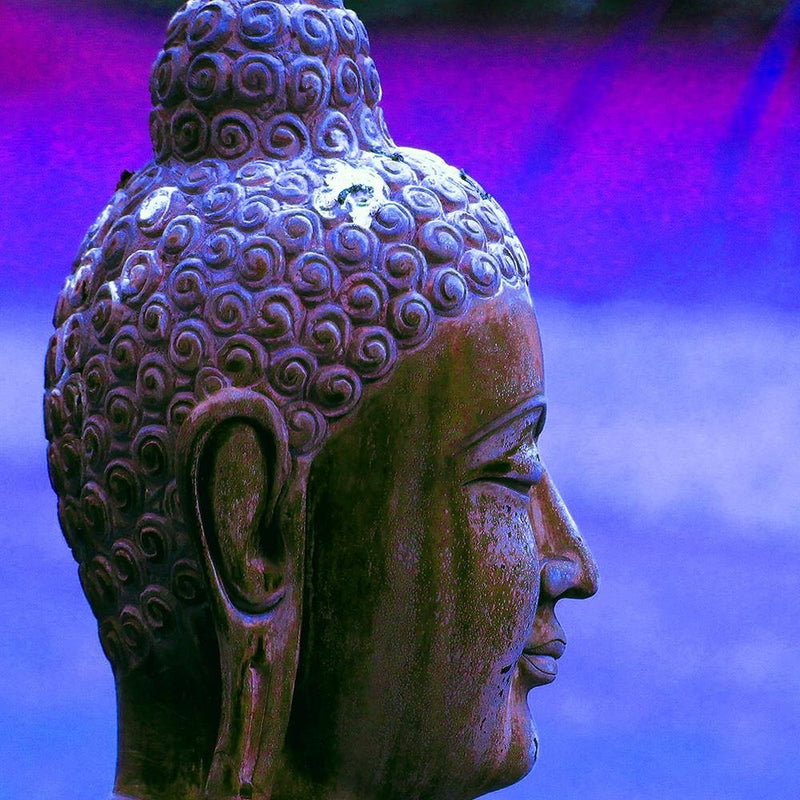 Glezna baltā rāmī - Buddha Profile 