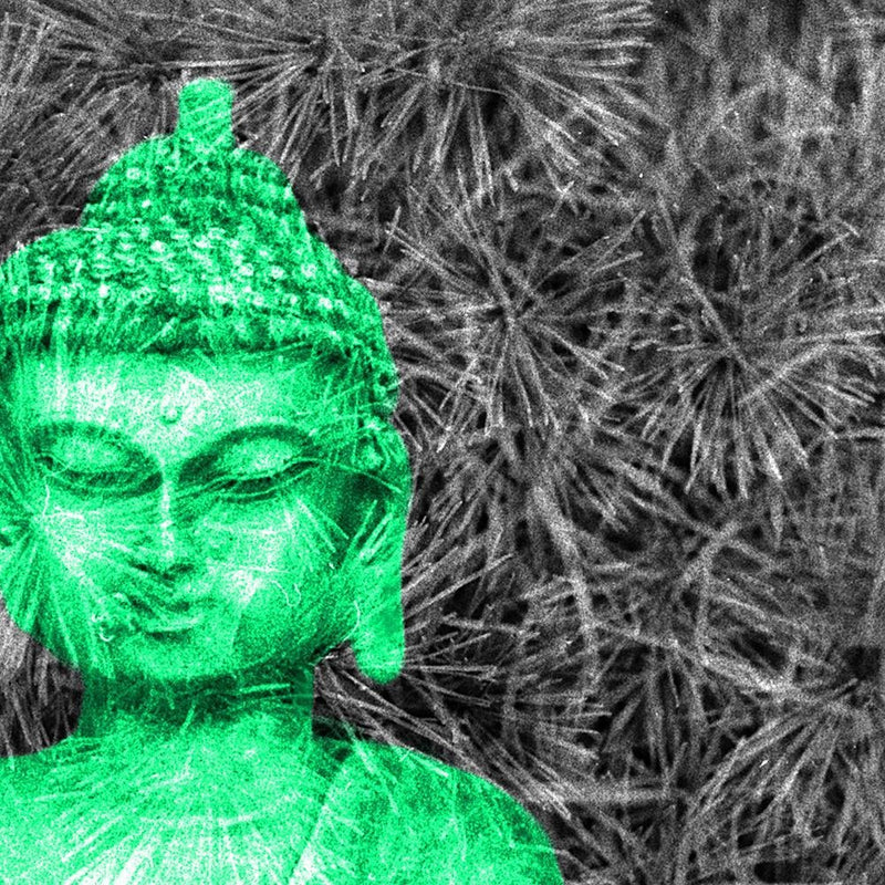 Glezna baltā rāmī - Buddha Sculpture 