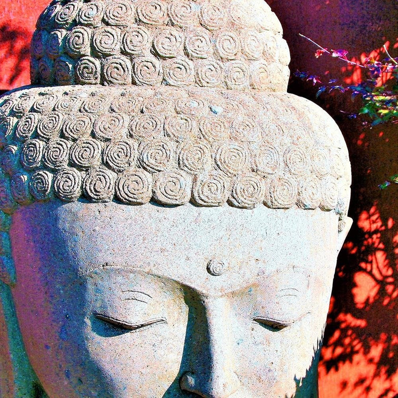 Glezna baltā rāmī - Head Of Buddha Among The Plants 