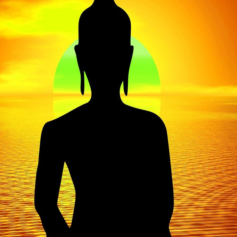 Glezna baltā rāmī - Buddha Meditation 