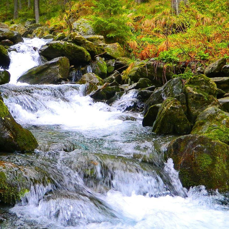 Glezna baltā rāmī - Mountain Stream 3 