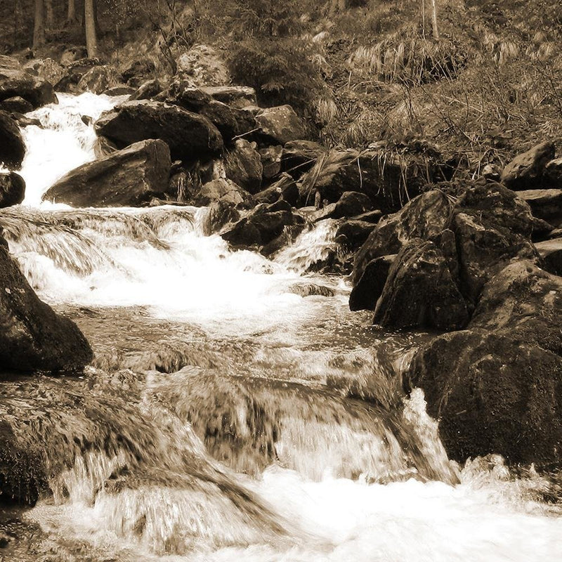 Glezna baltā rāmī - Mountain Stream 1 