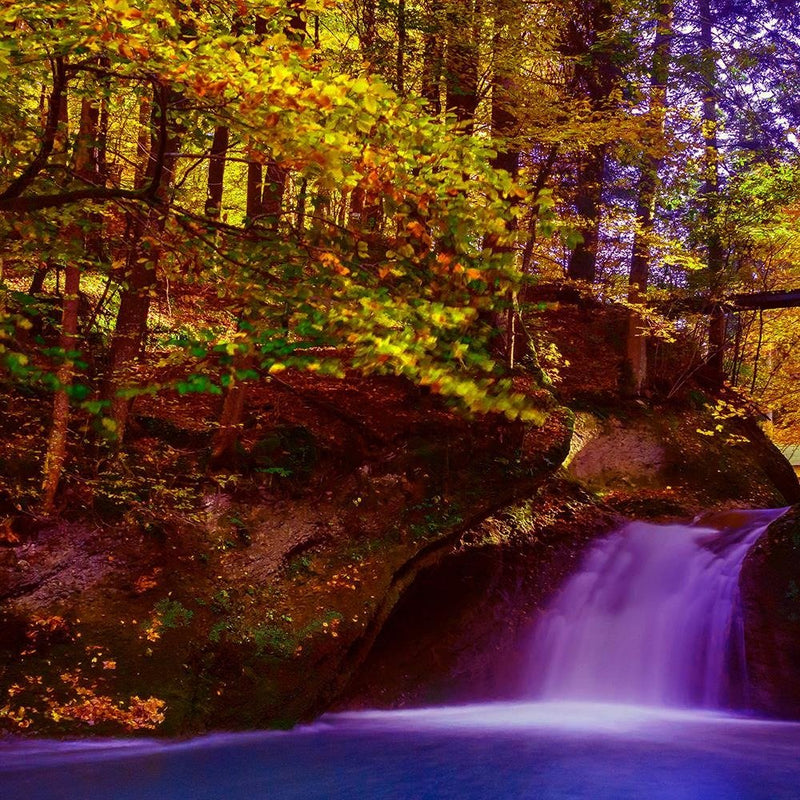 Glezna baltā rāmī - Waterfall And Autumn Trees 3 