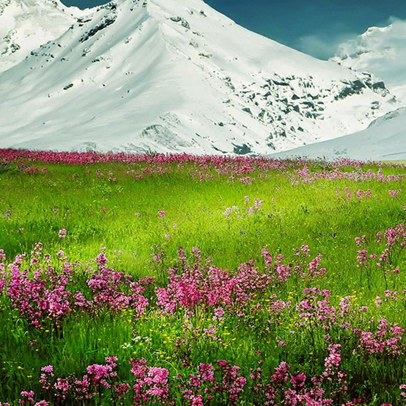 Glezna baltā rāmī - Snowy Mountains And Colorful Meadow 3 