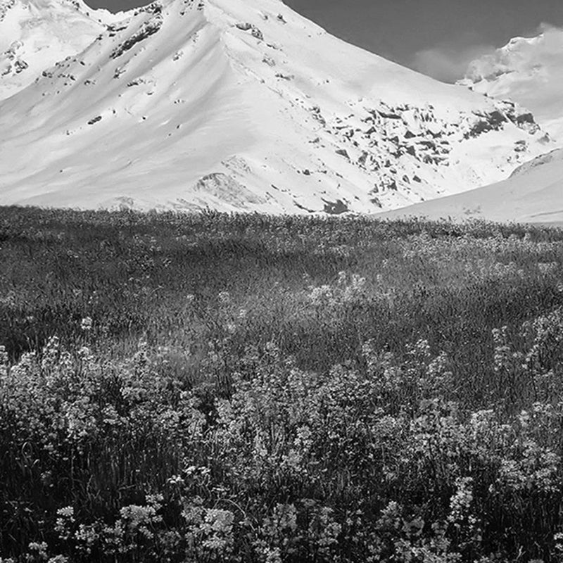 Glezna baltā rāmī - Snowy Mountains And Colorful Meadow 2 