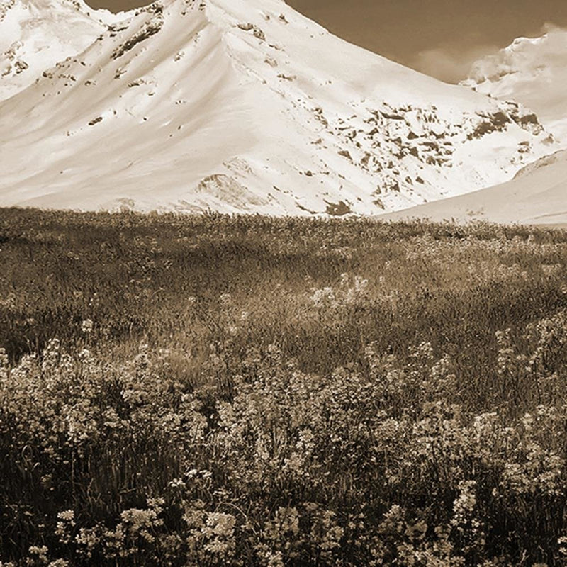 Glezna baltā rāmī - Snowy Mountains And Colorful Meadow 1 